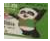 47c98c10-04a2-4377-b4a7-ebef98f9bb55.png