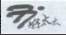 1734080479463.png